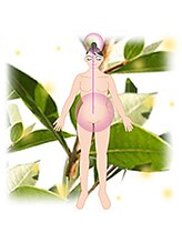 アウラ/毛染め目的だけでないヘナ