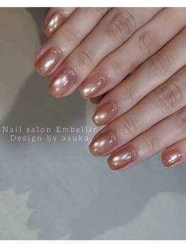 アンベリール(Embellir)/マグネットネイル