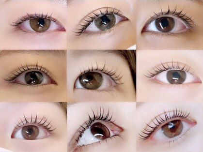 ステラ(STELLA)の写真