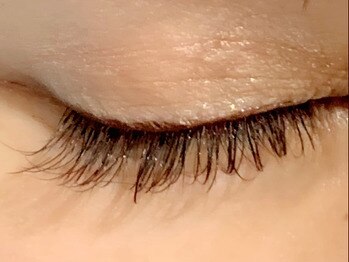 カラン 焼津店(CALIN)/フラットラッシュブラウン120本