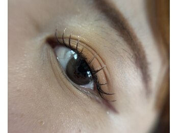 リュミエール(lash&brow lumiere)/マツエク　フラットラッシュ