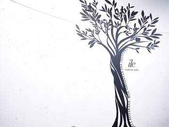 イレ 名古屋栄(ile)/姿勢矯正/骨盤矯正/猫背矯正