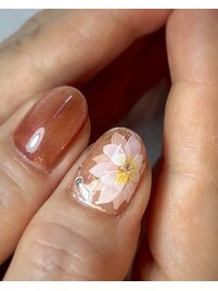 定額デザイン煌Kirameku　¥11000