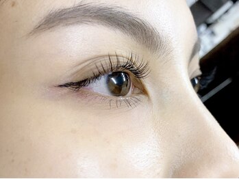 アイ デザイン アイネ(Eye Design Eine.)/フラットラッシュ100本