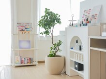 白を基調としたナチュラルでゆったりとした空間になっております