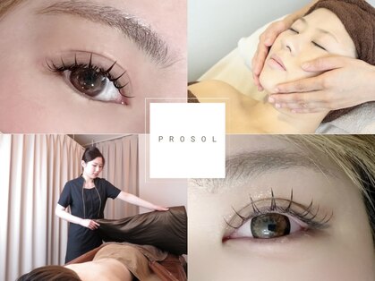プロッソル こころ(PROSOL)の写真