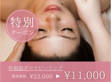カスミ板橋ベルミーランド