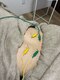 メディカルジャパン 八王子院の写真/不調の根本改善治療院◎肩こり・腰痛などのお悩みから、自律神経の調整や妊活など婦人科系の悩みまで♪