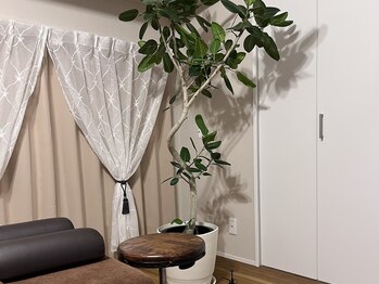 フェリーテ 神戸 三宮/室内の観葉植物