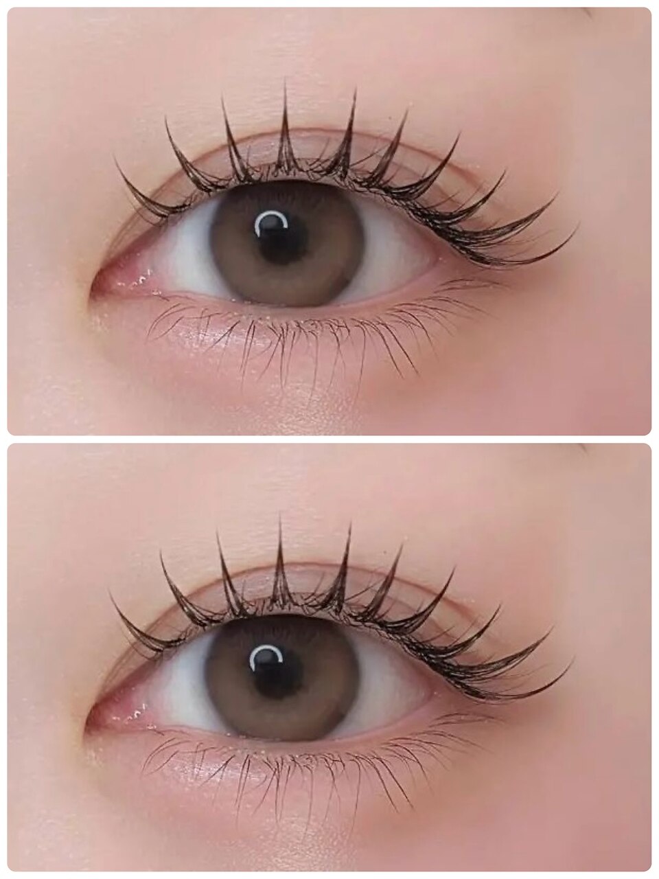 人気No.2【平日限定】フラットラッシュ60〜100本\4,950 ※土日利用不可