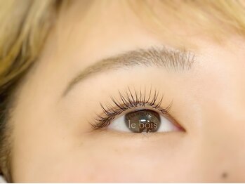 ルボイス(le bois)/フラット　ミックス　100本