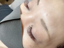 バタフライ 茅ヶ崎店(Butterfly)/ロイッシュカラー150束