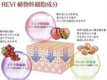 トップスキン 新宿(TOPSKIN)/植物幹細胞で肌細胞から美しく♪