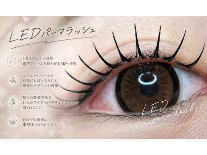 フィル 小倉店(fil)の写真