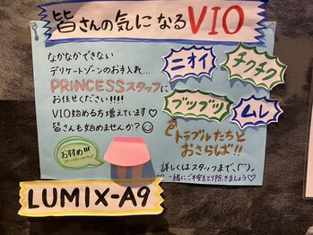 プリンセス モアミー(PRINCESS more me…)/大人気のVIO脱毛