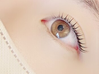 ニコホリ(NIKOHORI)の写真/下がりまつげや上がらないまつげをきれいに♪似合わせデザイン×持続力で、忙しい朝のメイクも時短◎