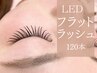 【忙しいあなたへ!持ち抜群】フラットラッシュ＆LED　120本　10000円→7000円