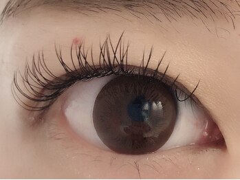 カラン 焼津店(CALIN)/フラットラッシュ100本