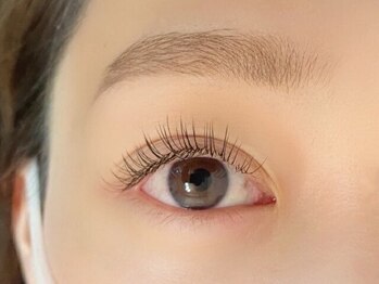 ヴィジョン(vision)/《フラットラッシュ120》