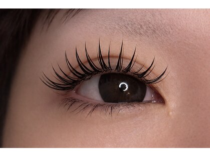 ベル(Belle)の写真