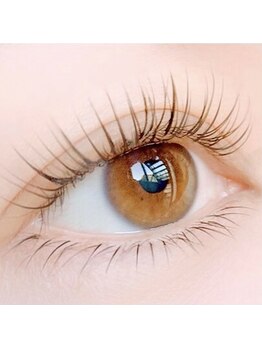 アミーラ(Amira)/フラットラッシュ 120本