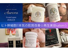 オーロラ(Aurora)