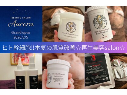 オーロラ(Aurora)の写真