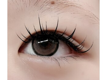 ルチア 高田馬場/束感ワンホンボリューム120束