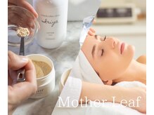 マザーリーフ(Mother Leaf)/