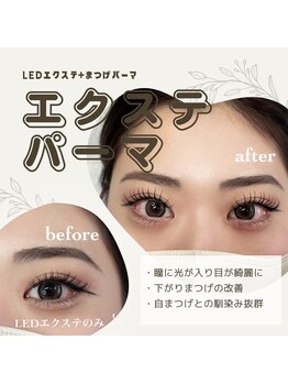 エトラ 目黒(etora)の写真/NEW☆最新技術【エクステパーマ】マツエク+パーマでぱっちりなお目元に♪