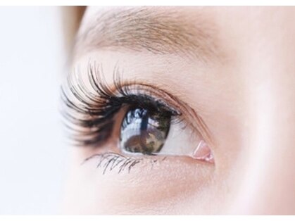 アイコ 本店(eyeco)の写真