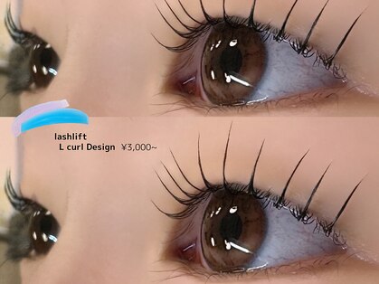 シーク デア(Seek-Dea)の写真