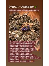 ララルアナ(Lara luana)/よもぎハーブ蒸し＋もみほぐし