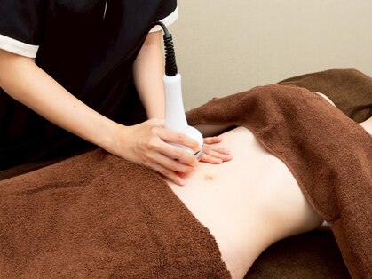 ジャスミン(Jasmine)の写真