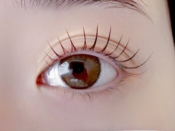 オヒメアイラッシュ 新宿(ohime eyelash)の写真/目元や顔に自然に馴染む長さやカールをデザイン♪ナチュラルマツエク～韓国束感まつげパーマでトレンド目元