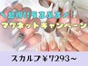 \4月限定/超得★うるぷるマグネットキャンペーン【スカルプ】