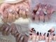 ユメネイル(YUME Nail)の写真