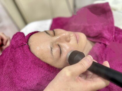 ローズ(ROSE)の写真