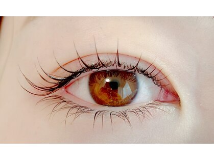 アイサロン ププラッシュ(PuPulash)の写真