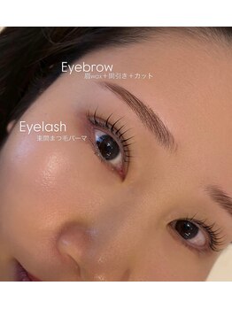 リノ セカンド(Lino second)/