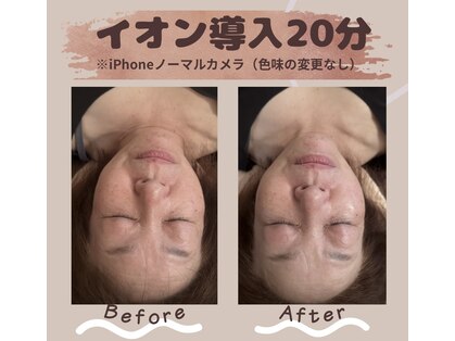 マノン(Manon)の写真