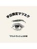 【新規】フラットラッシュ　100本