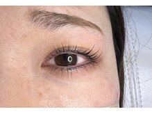 ジョリー(Jolie)/