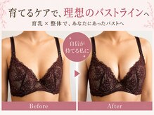 ラウリノサロン(Laurino salon)/バストアップ結果出し.満足度No1
