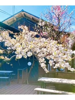 たまゆら/お店の前