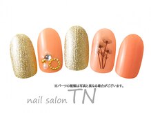 ティーエヌ 文苑堂TSUTAYA小杉町店/4月季節の定額6900円コ―ス