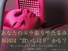 やなけん 亀戸店