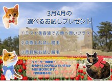 脱毛サロン リッカ(Lycka)の雰囲気(3月4月は★ミスト美容液★眉上脱毛★目尻脱毛から1つ選択!)