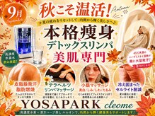ヨサパーク クレオメ(YOSAPARK Cleome)