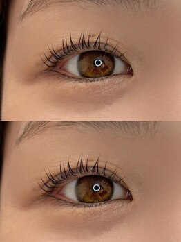 初めての方にオススメ